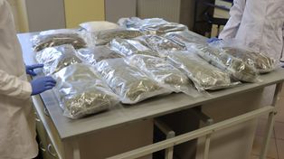 Policja przejęła 20 kg narkotyków. Czarnorynkowa wartość to około 2 mln zł