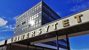 RANKING: Co warto studiować na UMK w Toruniu? Sprawdzamy zarobki absolwentów