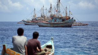 Cyjanek na spornych wodach. Filipiny oskarżają chińskich rybaków o ekologiczny sabotaż