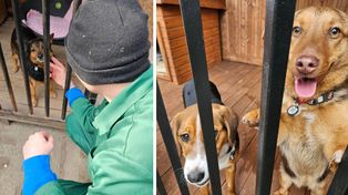 Osadzeni z Płocka pomagają zwierzętom. Resocjalizacja przez empatię i działanie