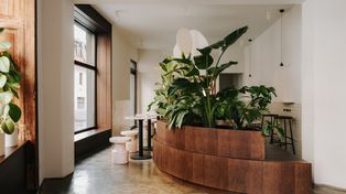 "Napar" - siedem lat historii dobrej kawy [wywiad]