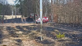 Płonął las w Leśnictwie Nakielno. Do akcji ruszył Dromader i liczne siły straży pożarnej