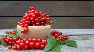 Kruchy placek z porzeczkami