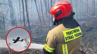 Pożar lasu pod Tucznem. Ogień objął hektary terenu