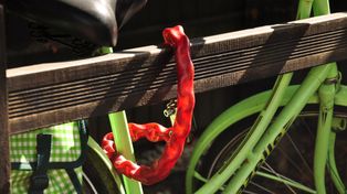 Pierwsze kradzieże rowerów w powiecie płońskim. Policja apeluje o ostrożność