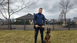 Cztery łapy w służbie. Warna dołącza do wałeckiej policji