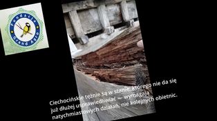 "Ekolodzy" zaangażowani w referendum niszczyli ciechocińskie tężnie! [śledztwo dziennikarskie]