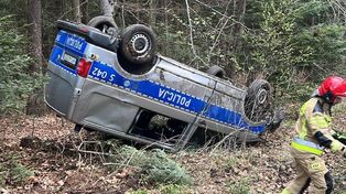 Dachował radiowóz. Policjanci próbowali ominąć sarnę [zdjęcia]