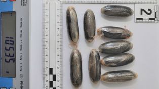 Szok na lotnisku w Gdańsku. 89 kapsułek kokainy ukrytych w ciele podróżnego