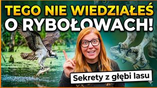Tego nie wiedziałeś o rybołowach