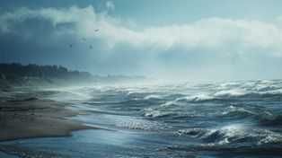 Silny wiatr uderzy w północ Polski. Ostrzeżenia IMGW i alert RCB dla mieszkańców