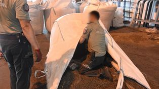 Kontrabanda w pellecie. Kierowca skazany za przemyt papierosów wartych miliony