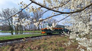 Maltanka powraca po zimowej przerwie