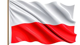 Płock uczci ważne rocznice. Przed nami majowe uroczystości patriotyczne