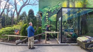 Nowa atrakcja na majówkę – pigmejki w naturalnym środowisku