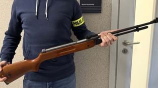 67-latek zastrzelił kota z wiatrówki.