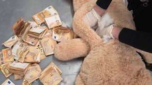 Pluszowy miś z 50 tysiącami euro w brzuchu. Pracownik DHL zrobił szokujące odkrycie