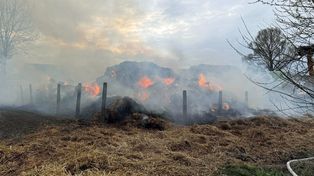 Seria podpaleń słomy rozwiązana. Trop psa doprowadził policję prosto do sprawców