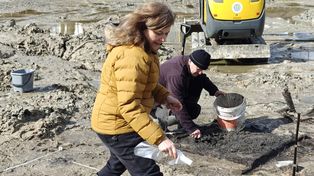 Pod Poznaniem odkryto ślad sprzed epoki Słowian. Studnia z IV wieku odsłania zapomniany świat