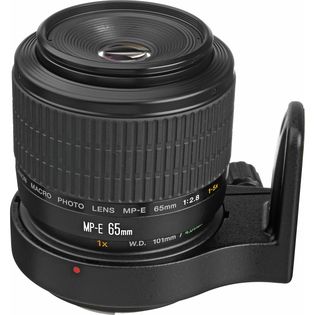 Canon MP-E 65mm f/2.5 1-5x Macro
