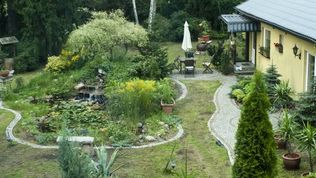  Mieszkania i Pokoje do wynajęcia