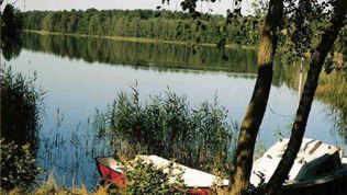 Groups Bory Tucholskie Ośrodek Wczasowy