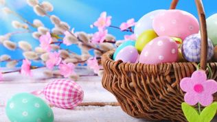  Apartamenty u Dziedzica