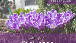  Apart-Invest Apartamenty