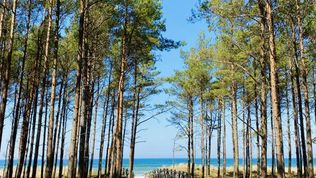  Jachtowa 10 Lubiatowo