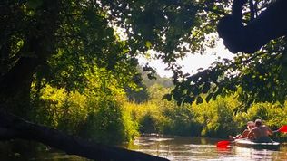  Apartament Slowly Zamość - na wyłączność, z ogrodem