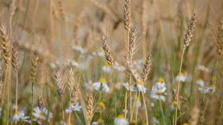  Pensjonat Zbójecki Dwór