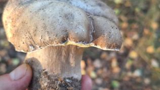  Dom Pracy Twórczej Rybaczówka