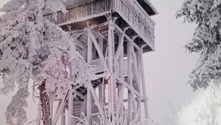  Gospodarstwo Karolina