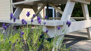  Sosenkowo Domki letniskowe 