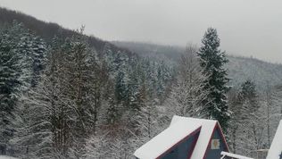  Leśny Zakątek - domek na prywatnej działce