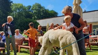  Ośrodek Rehabilitacyjny Leśna Polana