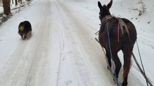  Agroturystyka-Zagroda Studzienno