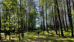  Ośrodek Wypoczynkowy Gieret