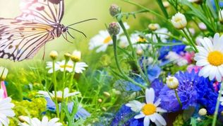  Ośrodek Rehabilitacyjny Leśna Polana