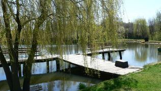 Agroturystyka w Dolinie Stawów