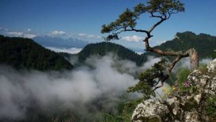  Dom Gościnny Pieniny