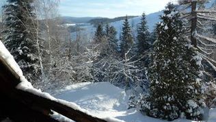 Ski, Snowboard Dom w górach