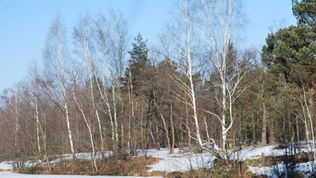  Gościniec pod Skalnikiem