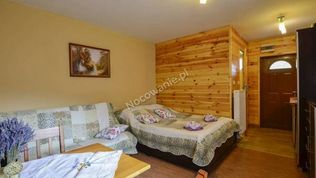 Oferta First Minute Agroturystyka - domki u Ptaka