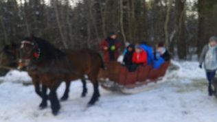  Agroturystyka Józefów