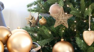  Pensjonat Willa Pienińska