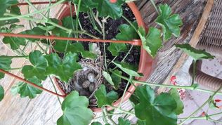  Agroturystyka Józefów