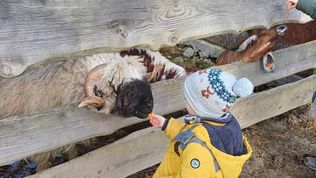  Agroturystyka-Zagroda Studzienno