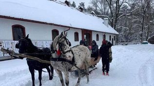  Agroturystyka Pod Lasem