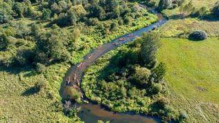  WILLA AMBER ZAKOŚCIELE